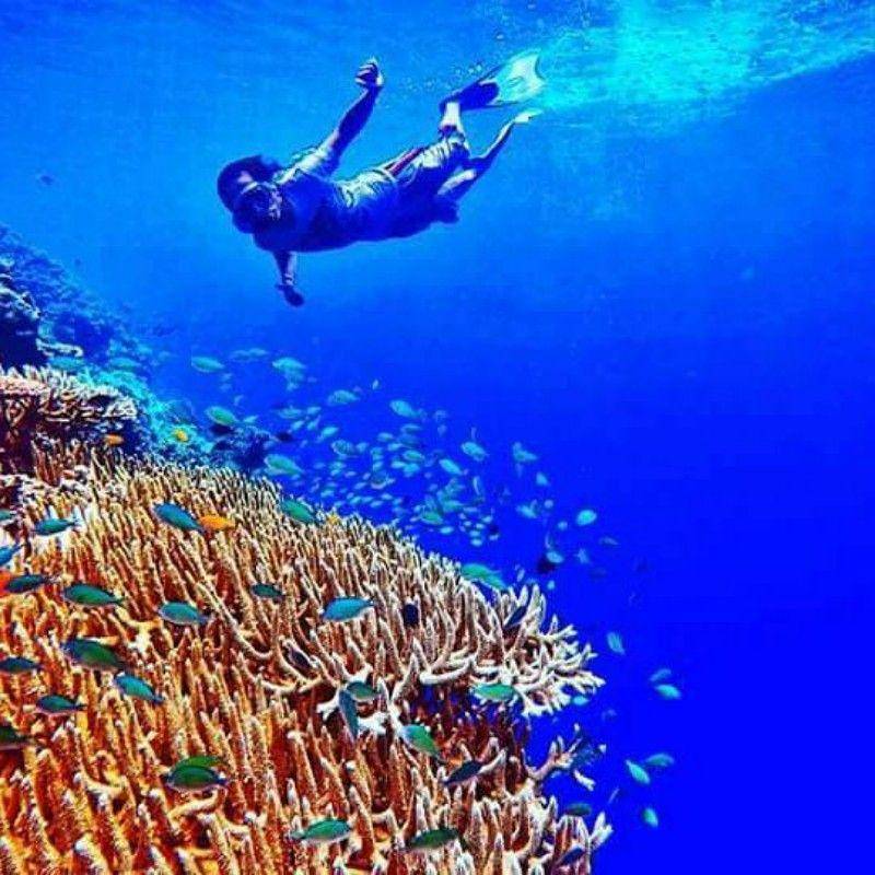 instagram.com/pulau_menjangan