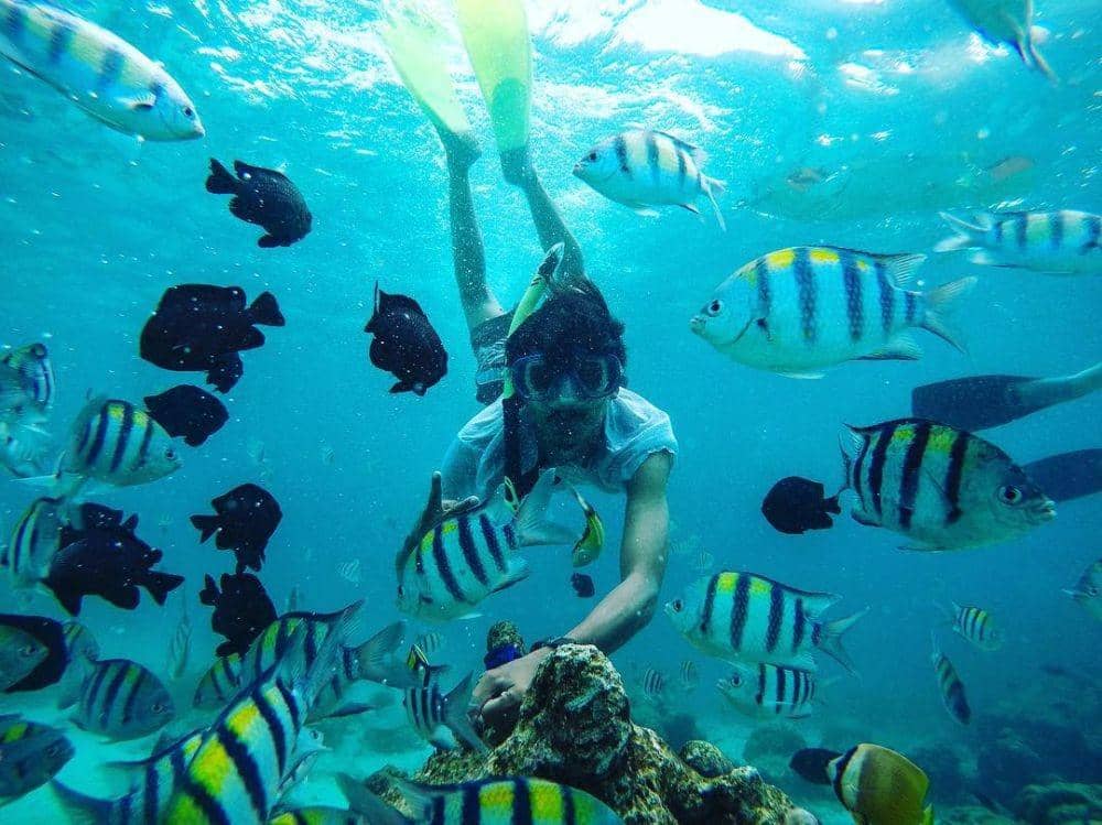 instagram.com/erijafajri