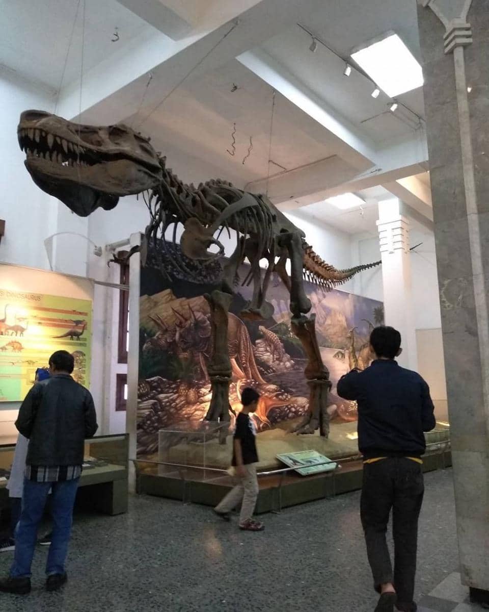 instagram.com/sweet_kinar