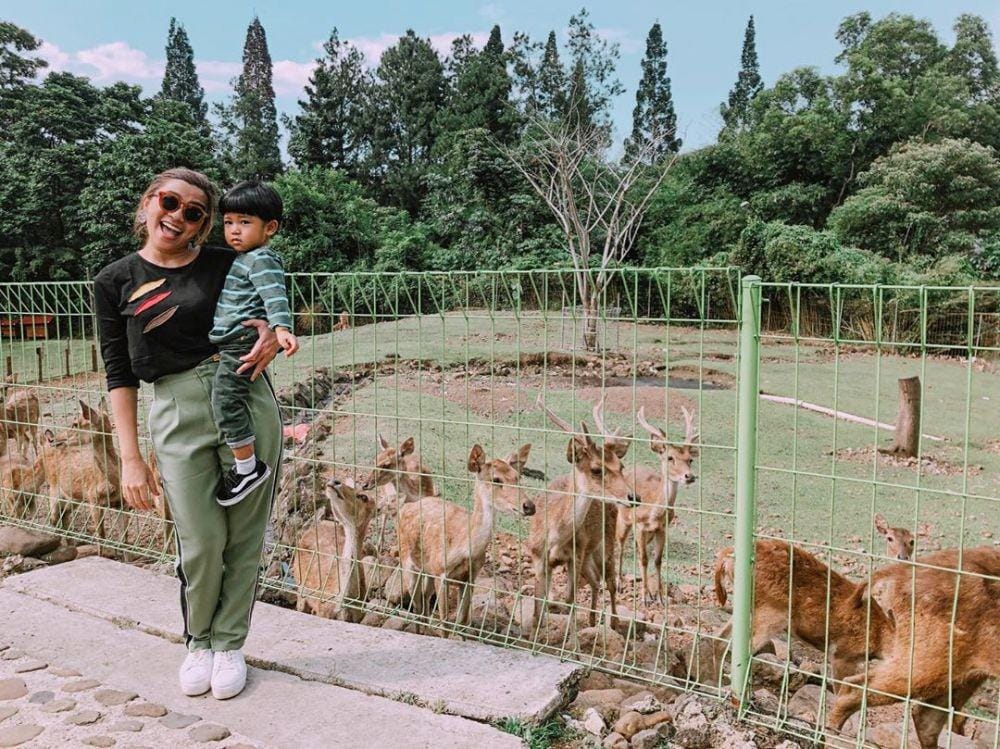 Instagram.com/ayuhastari