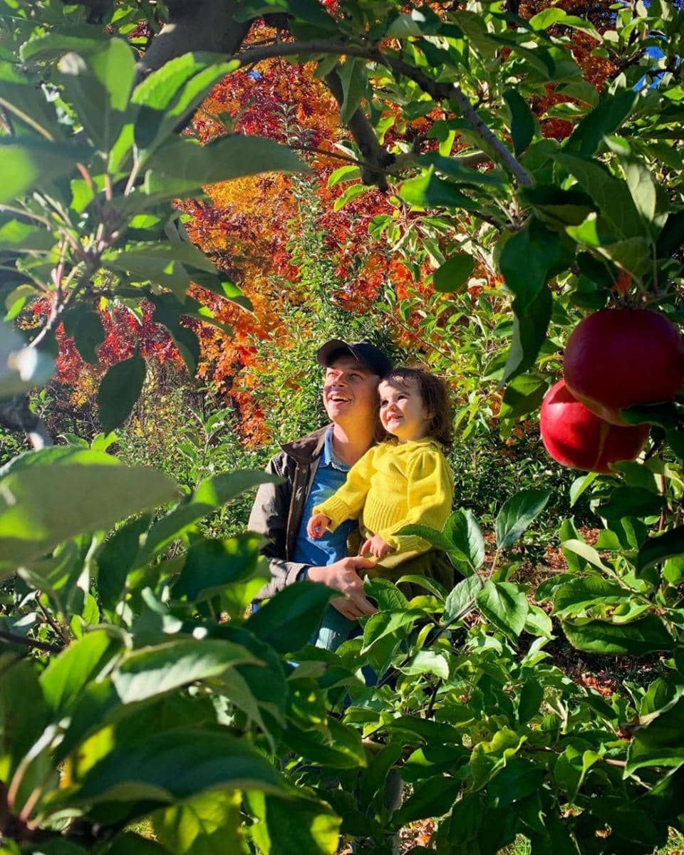 instagram.com/annawoodyall