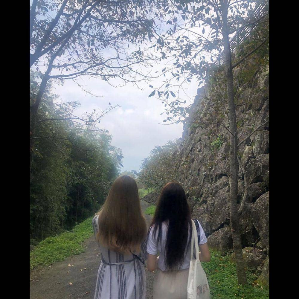 instagram.com/chongtingyanelkie