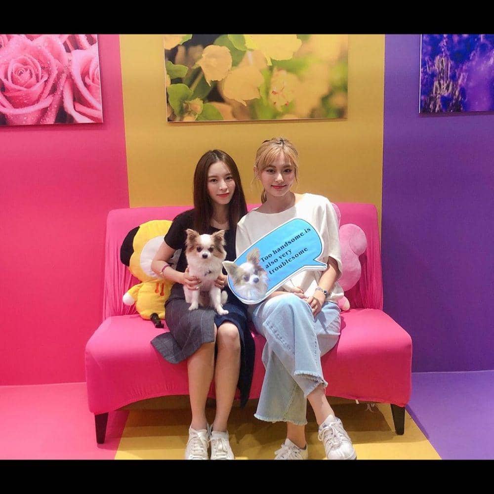 instagram.com/chongtingyanelkie