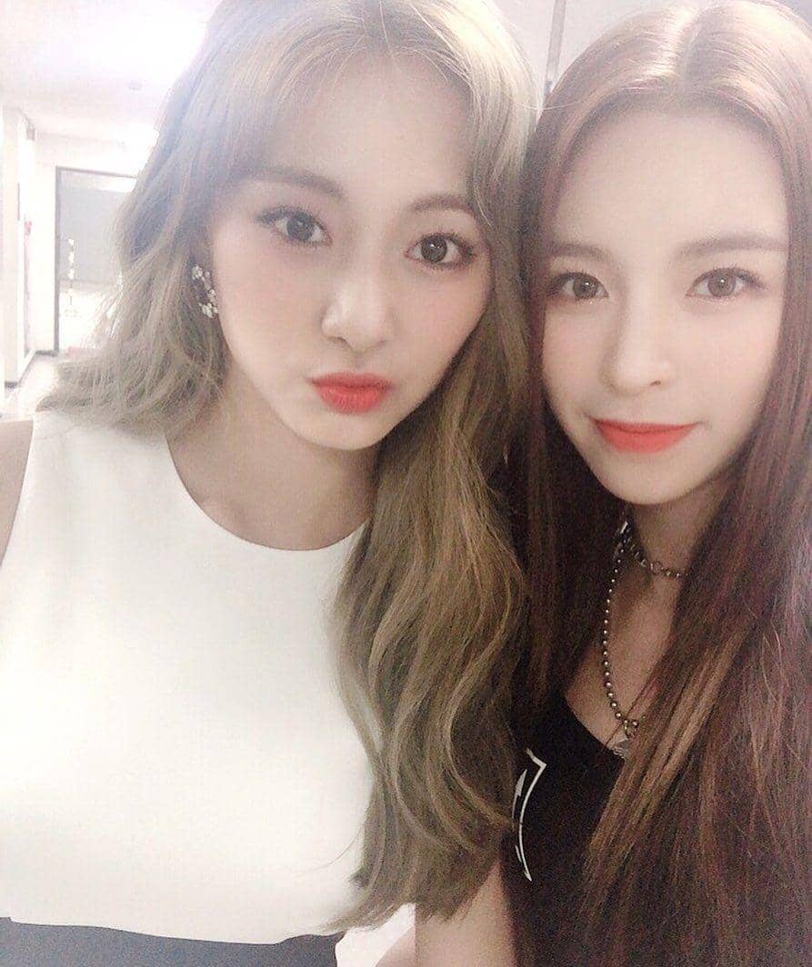 instagram.com/chongtingyanelkie