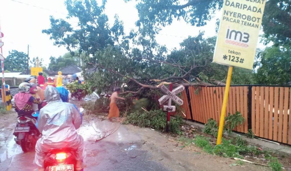 Warga Bojonegoro membersihkan pohon tumbang di jalan agar tidak menggangu pengendara motor dan mobil. IDN Times/Dok. Istimewa