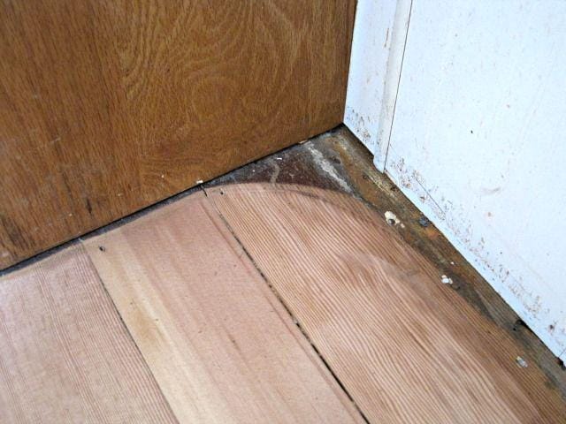 thespeckledgoatblog.com