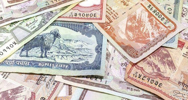 nepalecoadventure.com