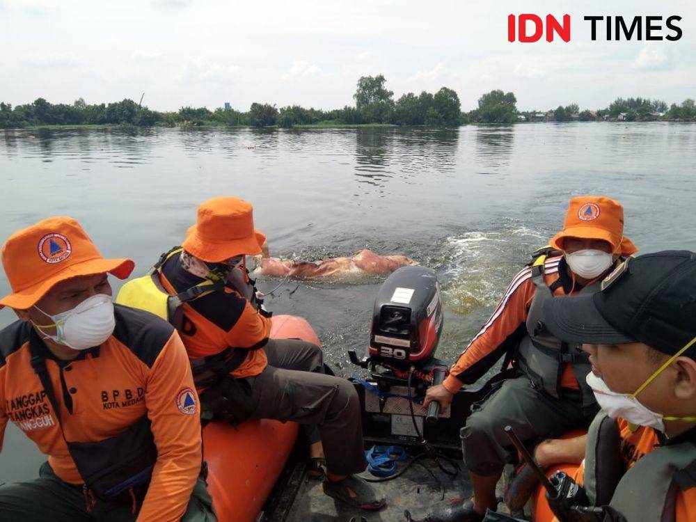 Petugas BPBD menarik bangkai babi yang mengapung di Danau Siombak, Kecamatan Medan Marelan, Kota Medan (IDN Times/Prayugo Utomo)