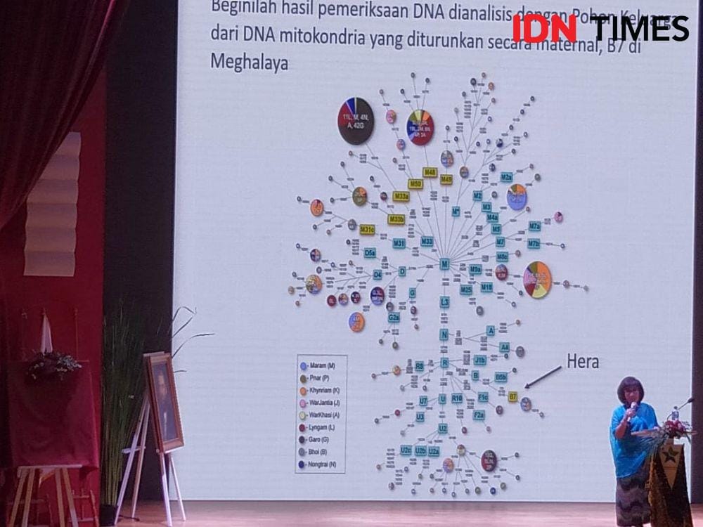 IDN Times/Dini Suciatiningrum