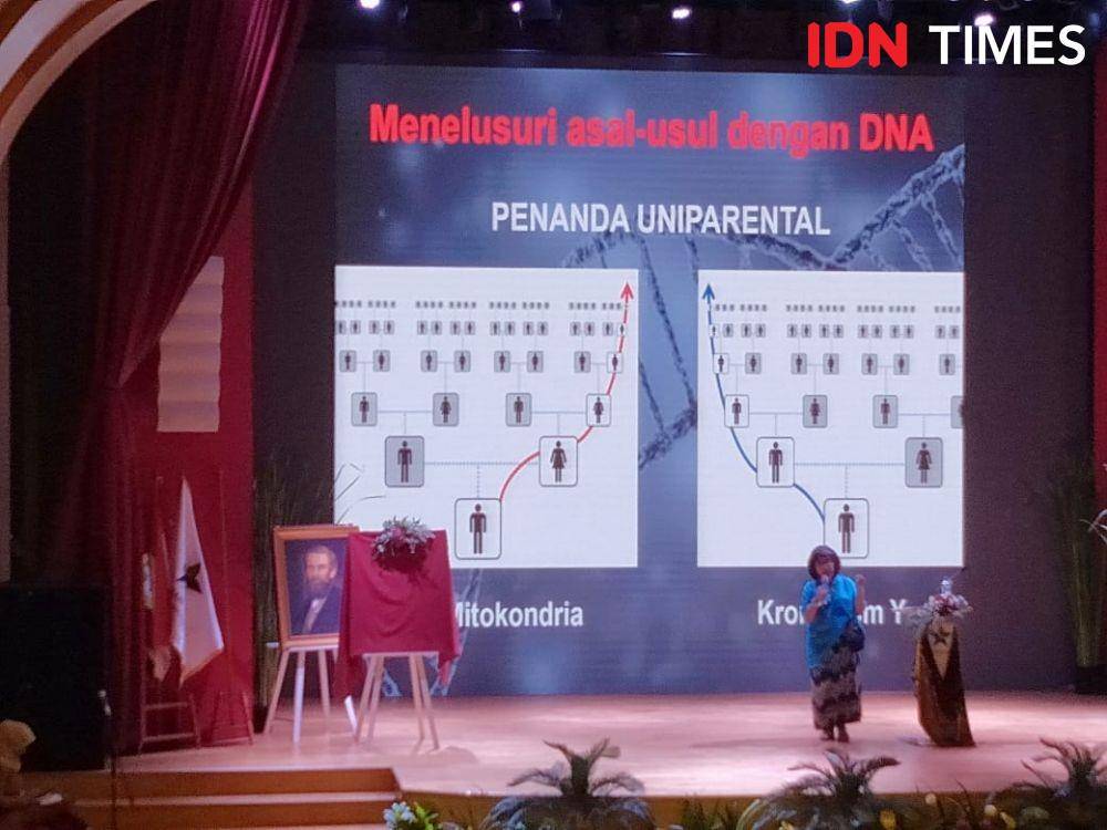 IDN Times/Dini Suciatiningrum