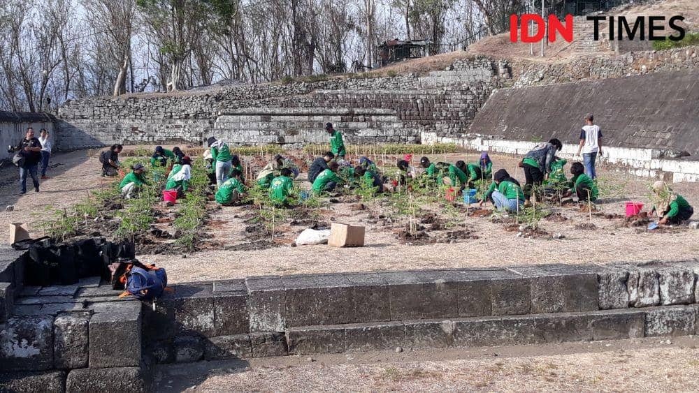 Penanaman ribuan pohon di area Candi Ratu Boko, Yogyakarta, (12/11). IDN Times/Teatrika Handiko Putri