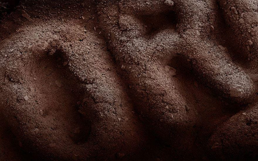 CarenAlpertFineart.com