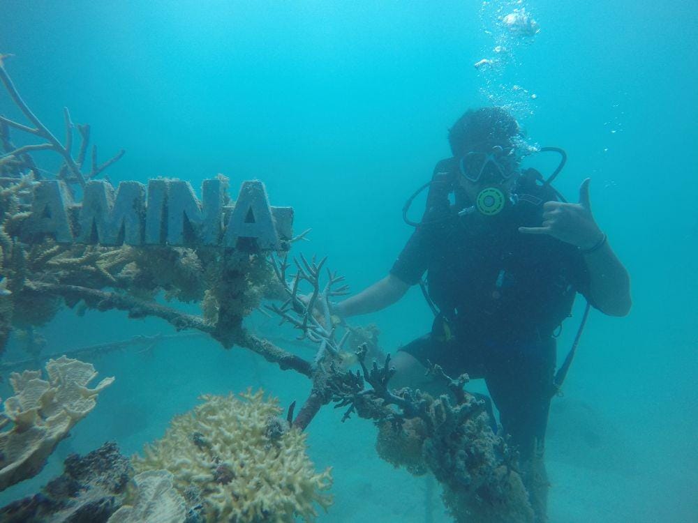 Dok. Yayasan Bina Lingkungan HDI