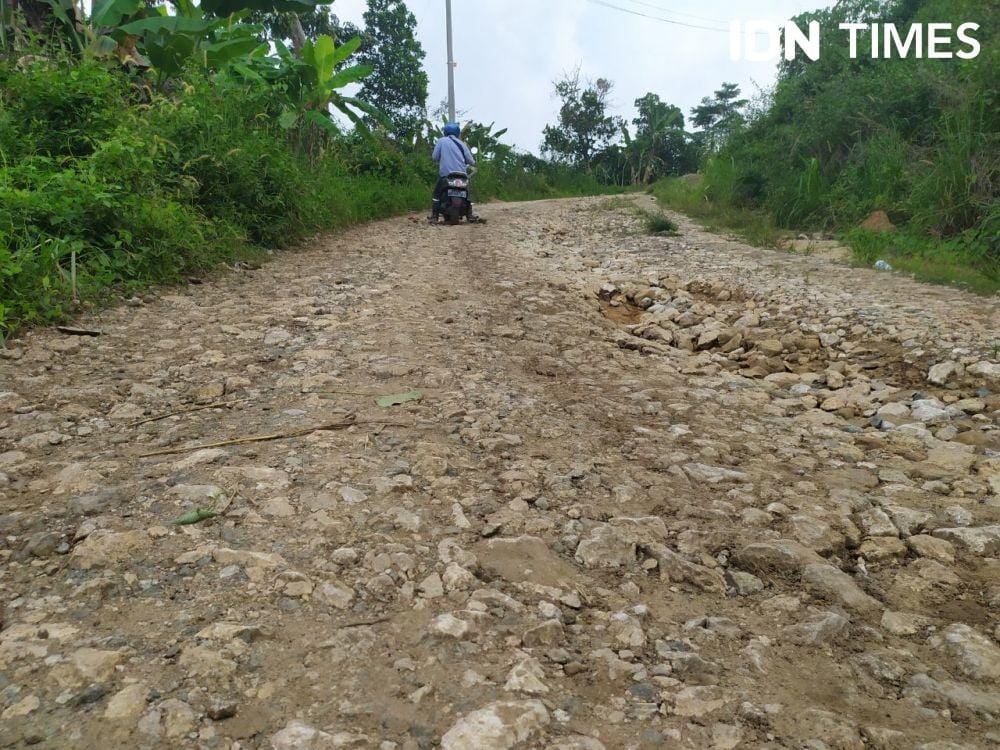 Jalan menuju SD Filial 004 yang berada di pinggiran Samarinda di tengah hutan (IDN Time/Samarinda)