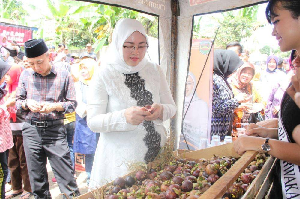 IDN Times/Purwakarta