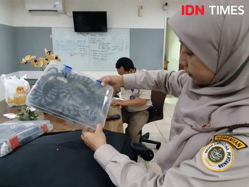 IDN Times/Candra Irawan