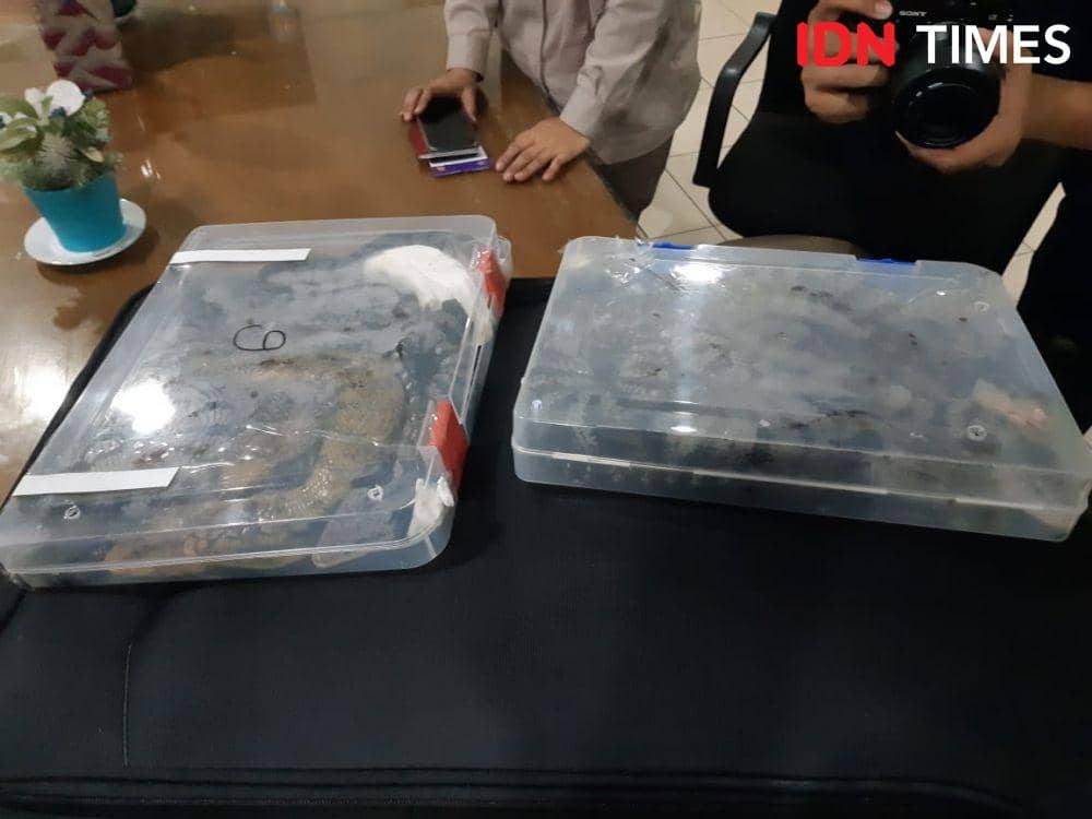 IDN Times/Candra Irawan