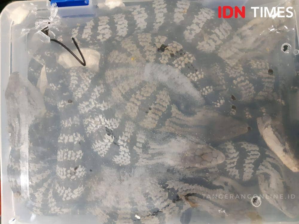 IDN Times/Candra Irawan