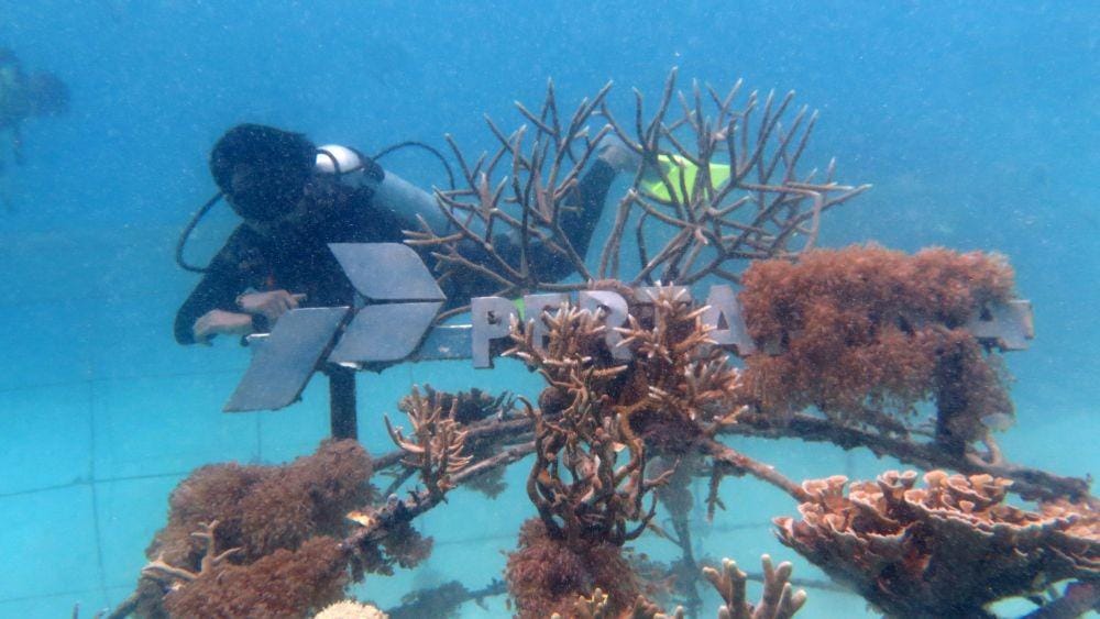 Dok. Yayasan Bina Lingkungan HDI