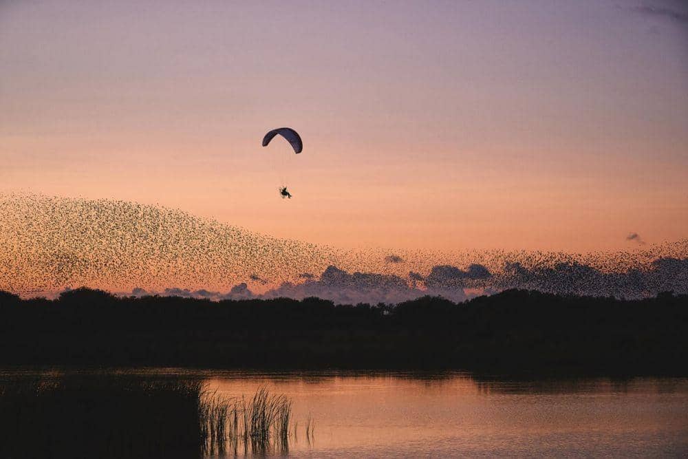 redbullcontentpool.com