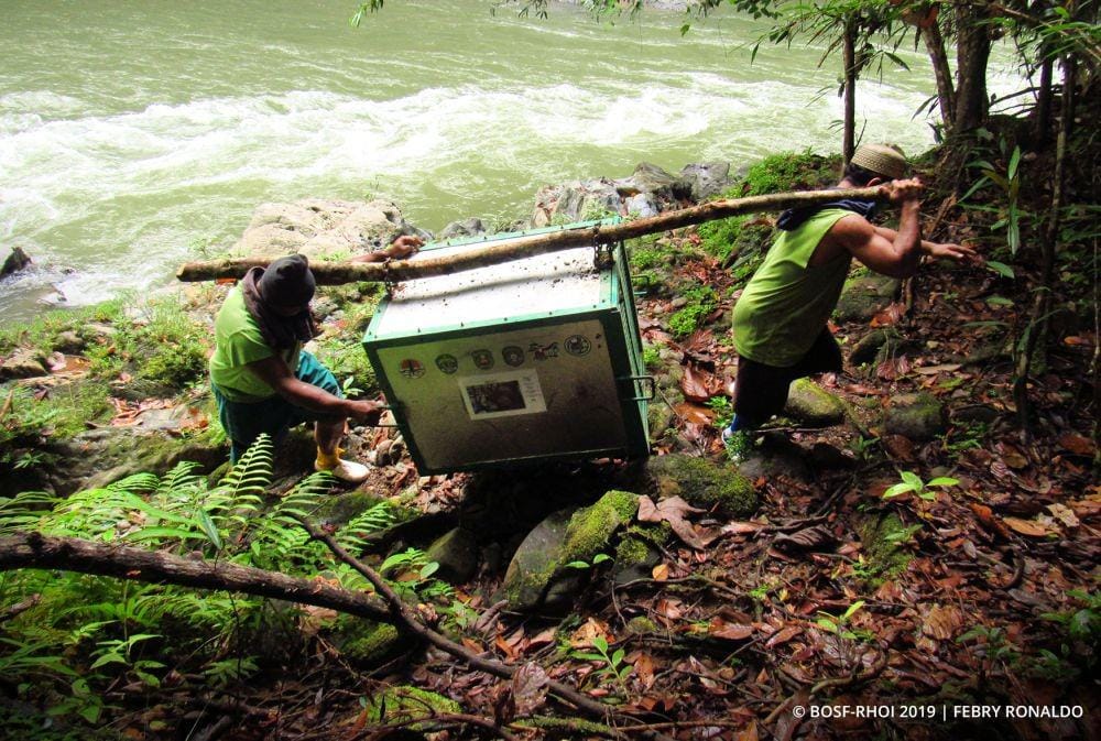 Perjalanan membawa orang utan yang dilepasliarkan di Hutan Kehje Sewen. Sumber: Yayasan BOSF