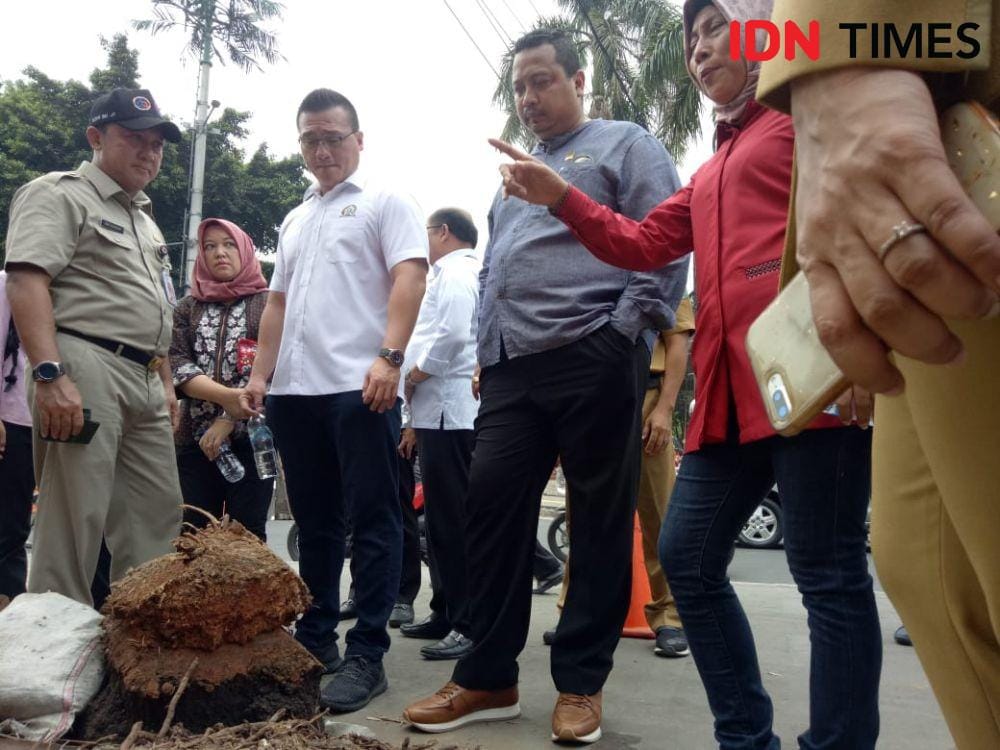 IDN Times/Gregorius Aryodamar P