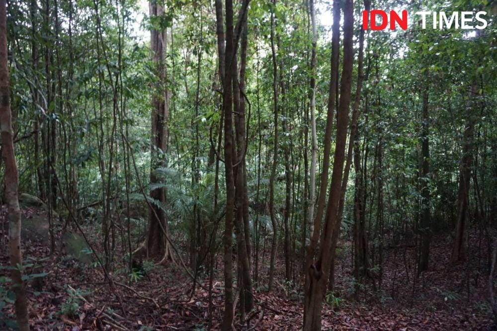 IDN Times/Lia Hutasoit