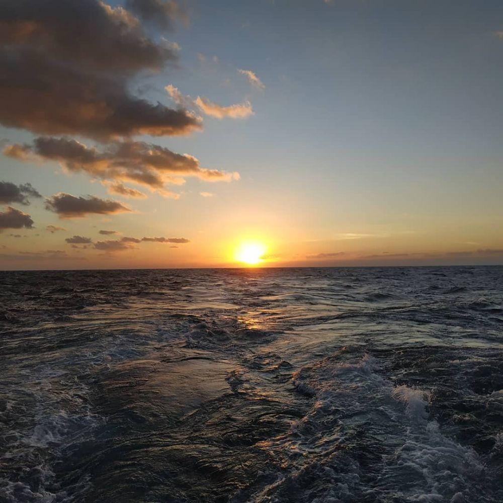 instagram.com/nrapzvap