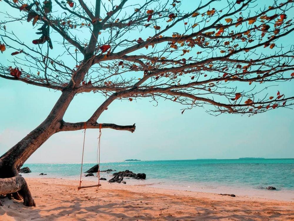 instagram.com/sepasanglangkah