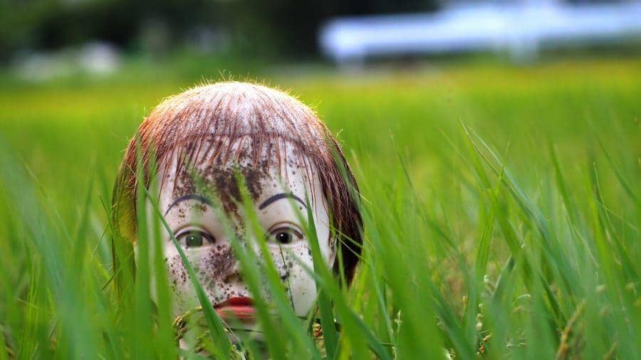 Blogs.yahoo.co.jp/limited_edition_cj52