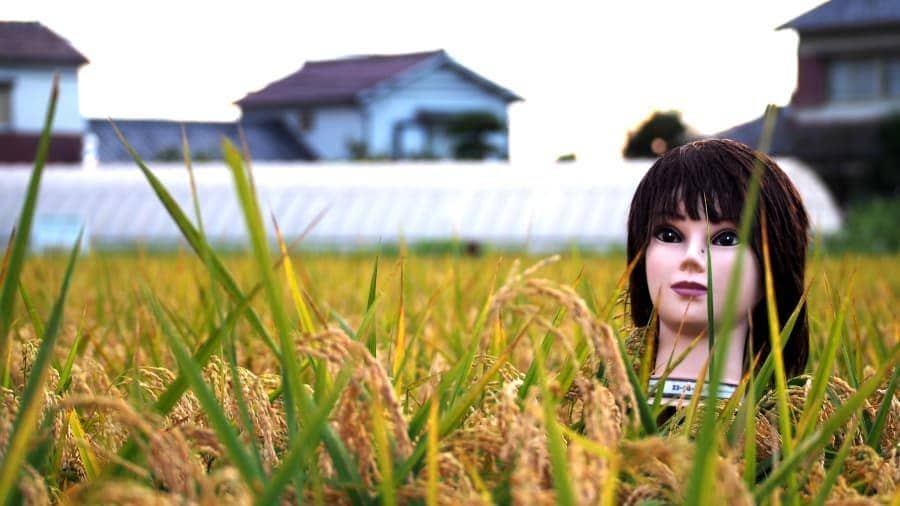 Blogs.yahoo.co.jp/limited_edition_cj52