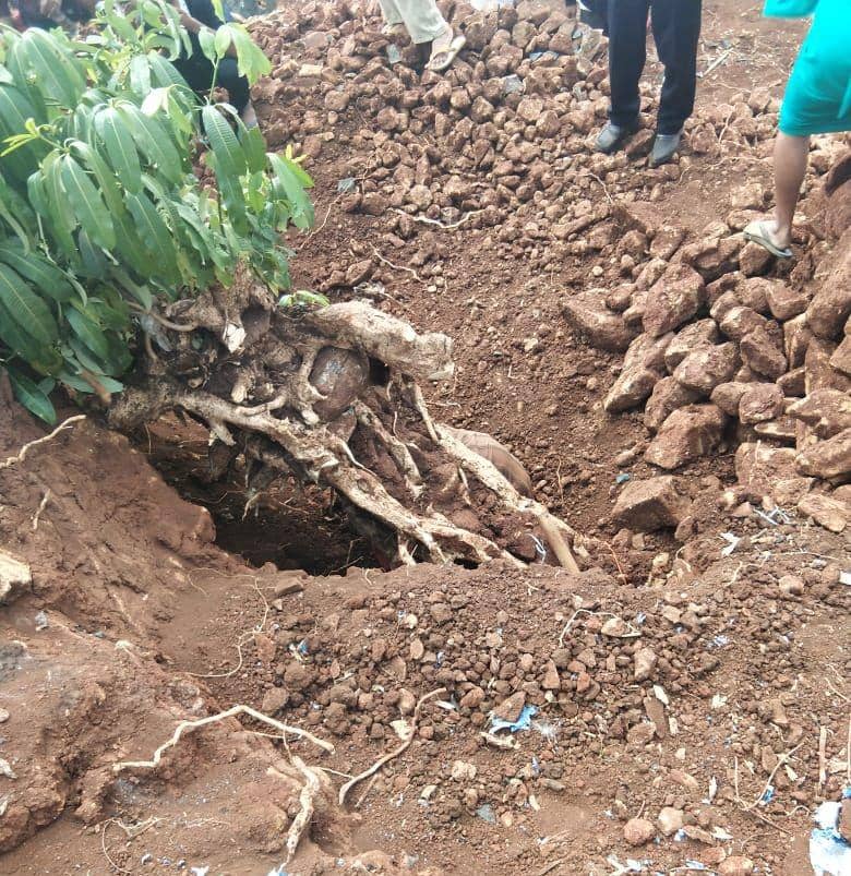 Lokasi dimana korban pertama kali ditemukan saat tertimpa akar pohoh / Istimewa