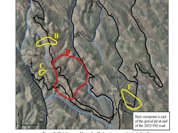 (Wilayah peta dalam garis merah menunjukkan ukuran jamur madu) via nationalgeographic.com.au