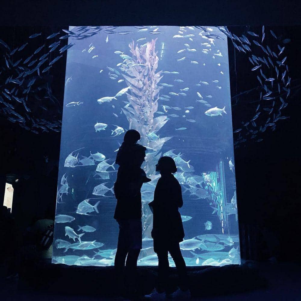 instagram.com/ayudiac