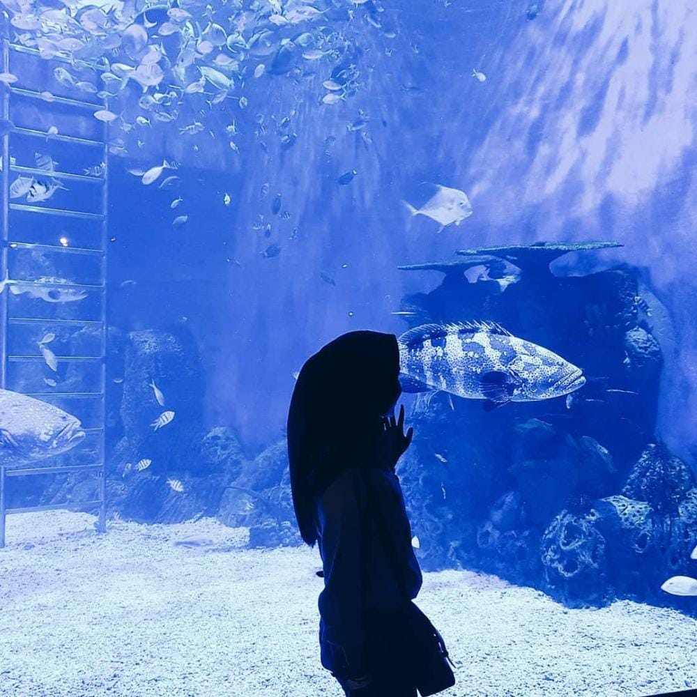 instagram.com/annisataaa