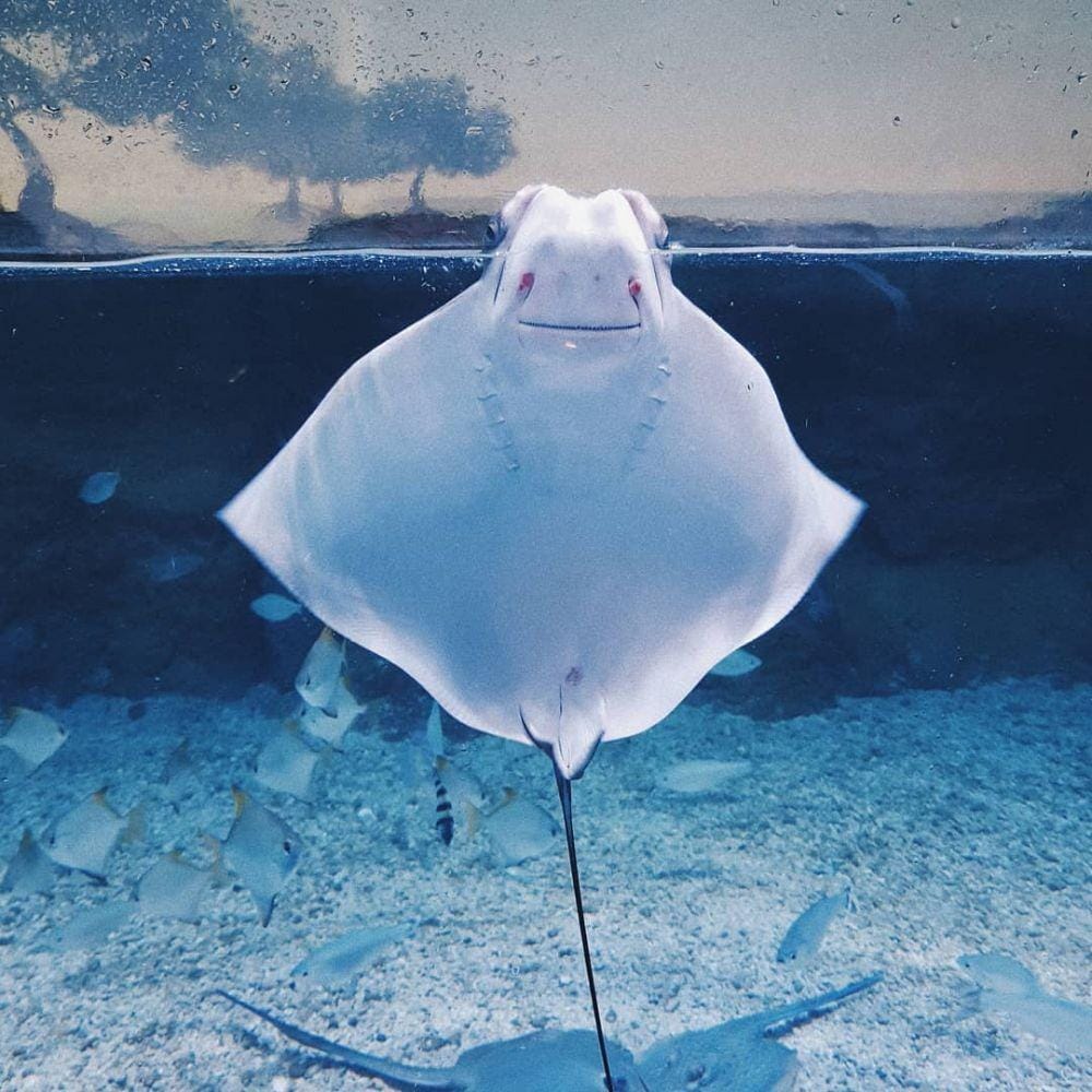 instagram.com/annisataaa