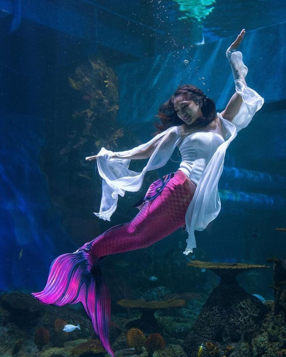 instagram.com/jakartaaquarium