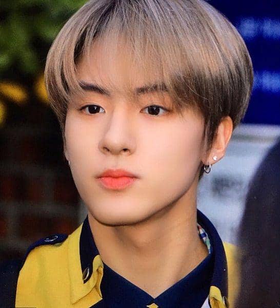 instagram.com/foreveric