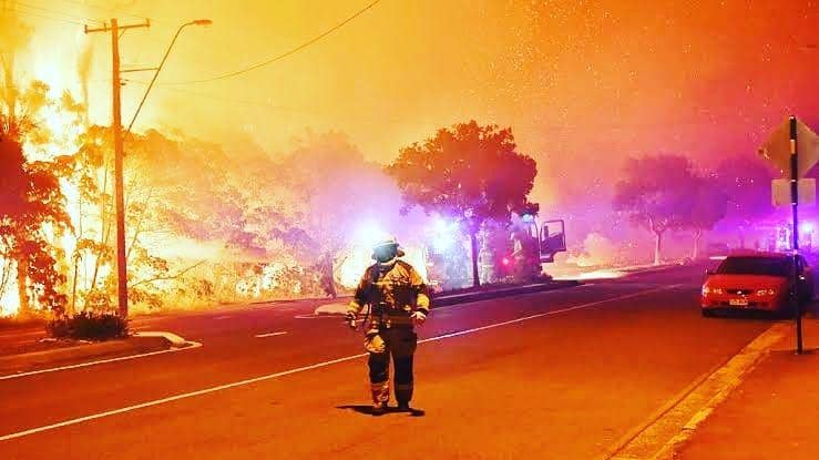 Di Australia, kebakaran hutan biasa memang sudah lumrah terutama di musim panas sebab cuaca yang kering.Instagram.com/nsw_fireupdates