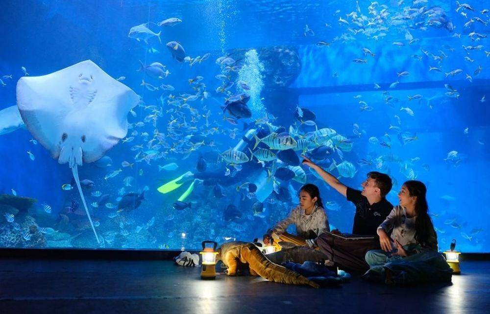 instagram.com/jakartaaquarium