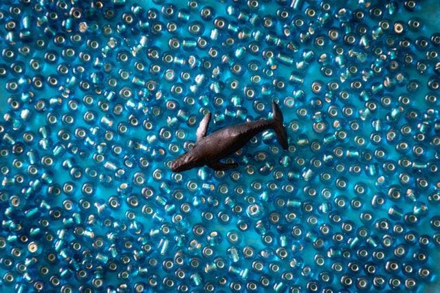 pexels.com/Magda Ehlers