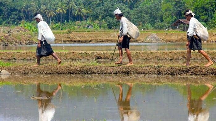 moondoggiesmusic.com