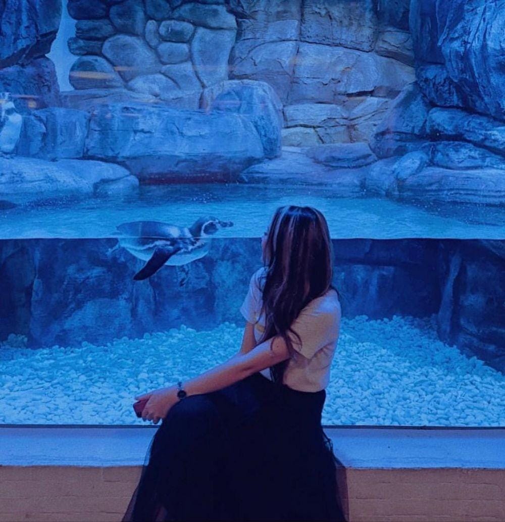 instagram.com/rosagusfa