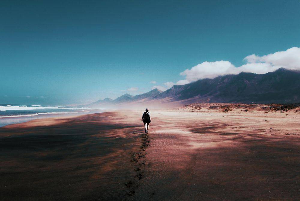pexels.com/tom swinnen