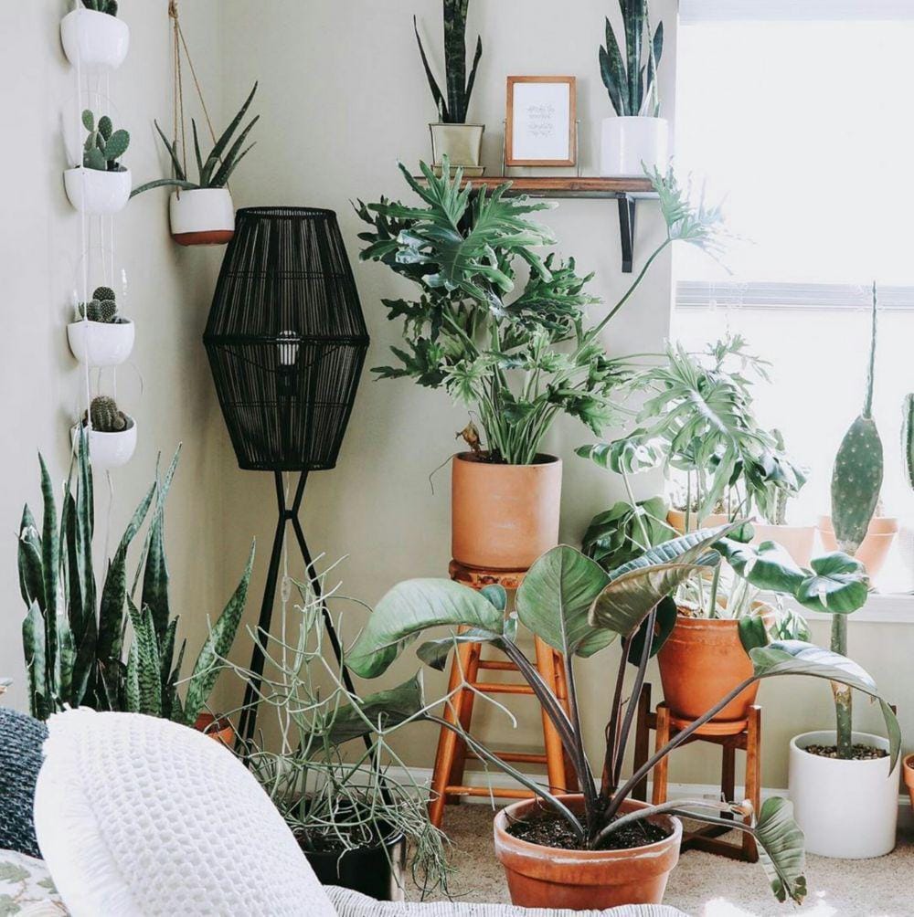 Instagram.com/Garden_street