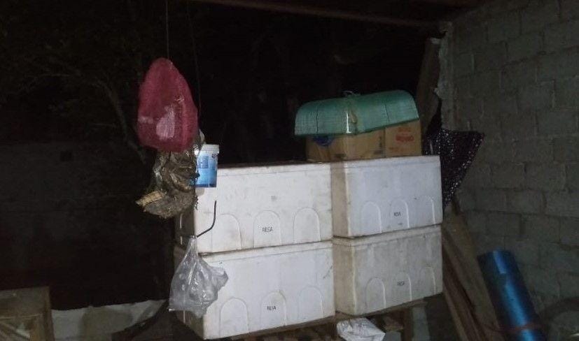 Gempa Maluku Utara M 7.1 (Dok. BNPB)