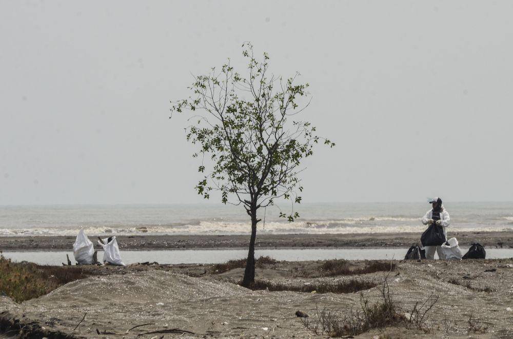 Petugas mengumpulkan limbah tumpahan minyak (Oil Spill) dari sumur Pertamina Hulu Energi Off Shore North West Java (PHE ONWJ) di Pesisir Pantai Bungin, Karawang, Jawa Barat, Senin (7/10).  ANTARA FOTO/Fakhri Hermansyah