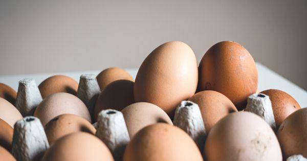 Ilustrasi telur. unsplash.com