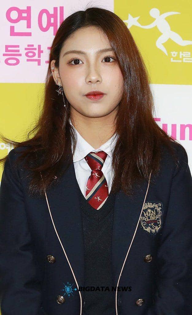 twitter.com/chowondaily