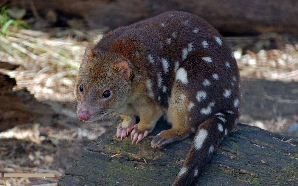 pinterest.com/atozpictures